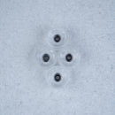 Maple Wheels - C-Thru "BOWL" - Skull Fingerboards