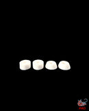 Piro Premium Bushings - Skull Fingerboards