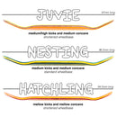 Unique - Simon Says Graphic Deck (RANDOM PLY COLOUR) - Skull Fingerboards