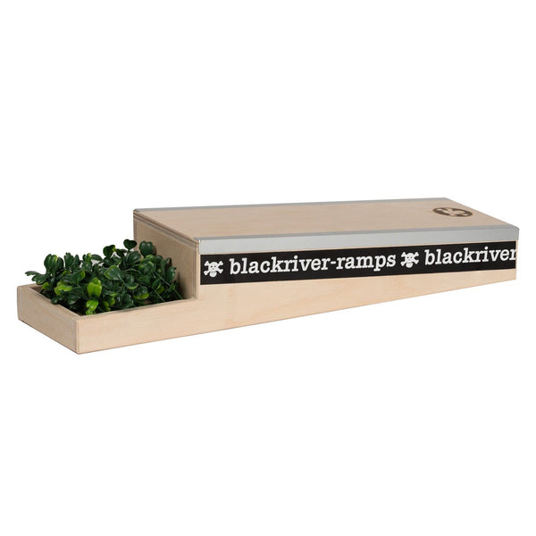 Blackriver Ramps Box 4 - Skull Fingerboards