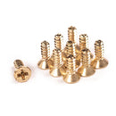Blackriver Trucks First Aid Screws - Skull Fingerboards